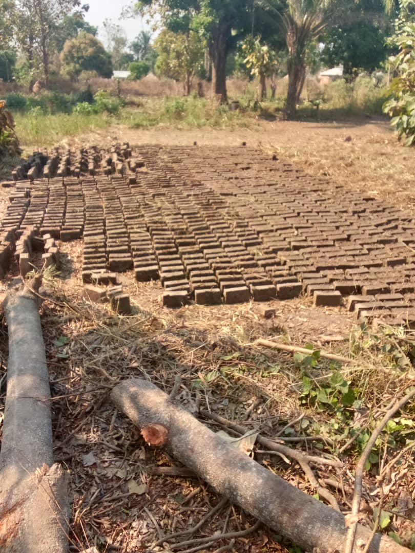 LWOV First Bricks LWOV First Bricks